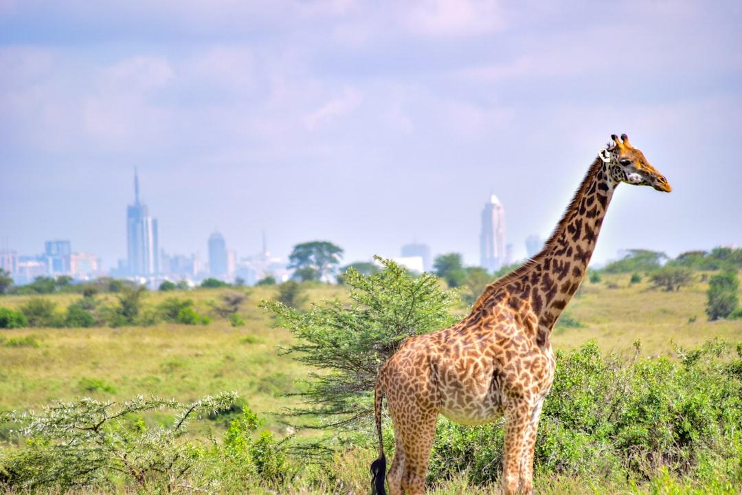 Kenya