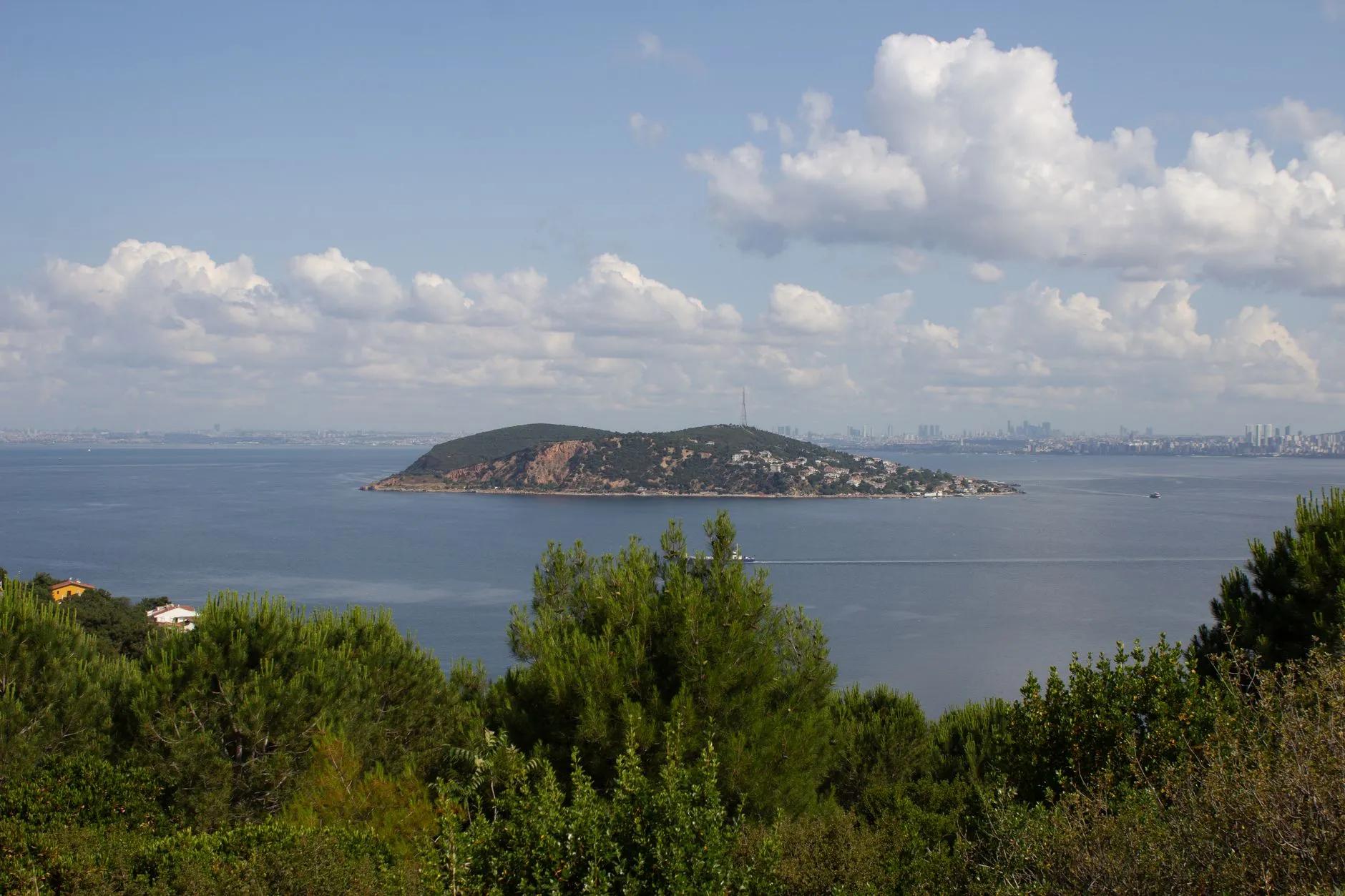 Ailuk Island