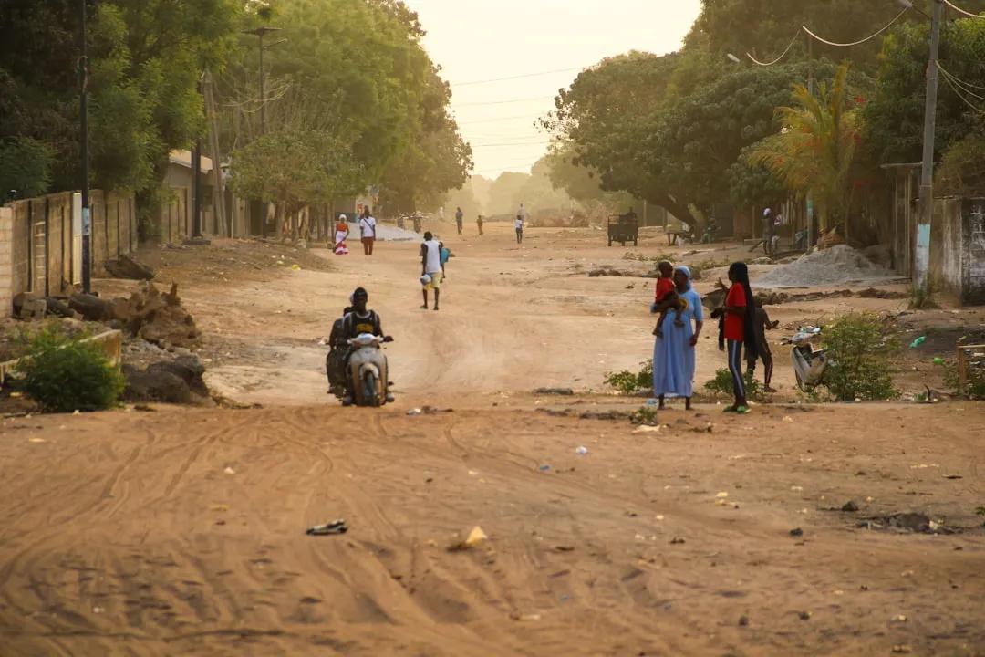 Bignona