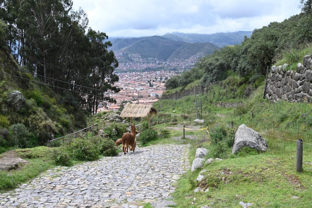 Los Andes