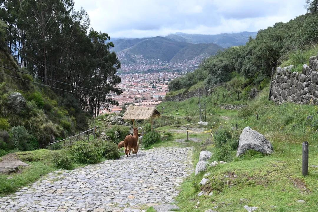 Los Andes