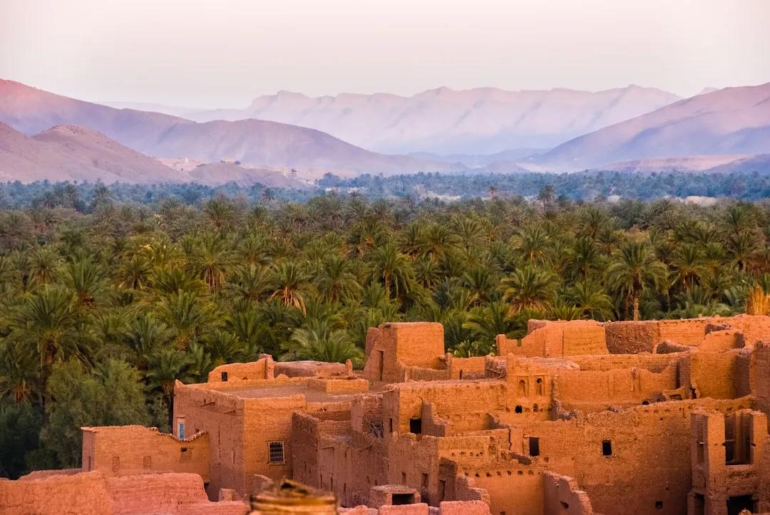 Nasiriyah