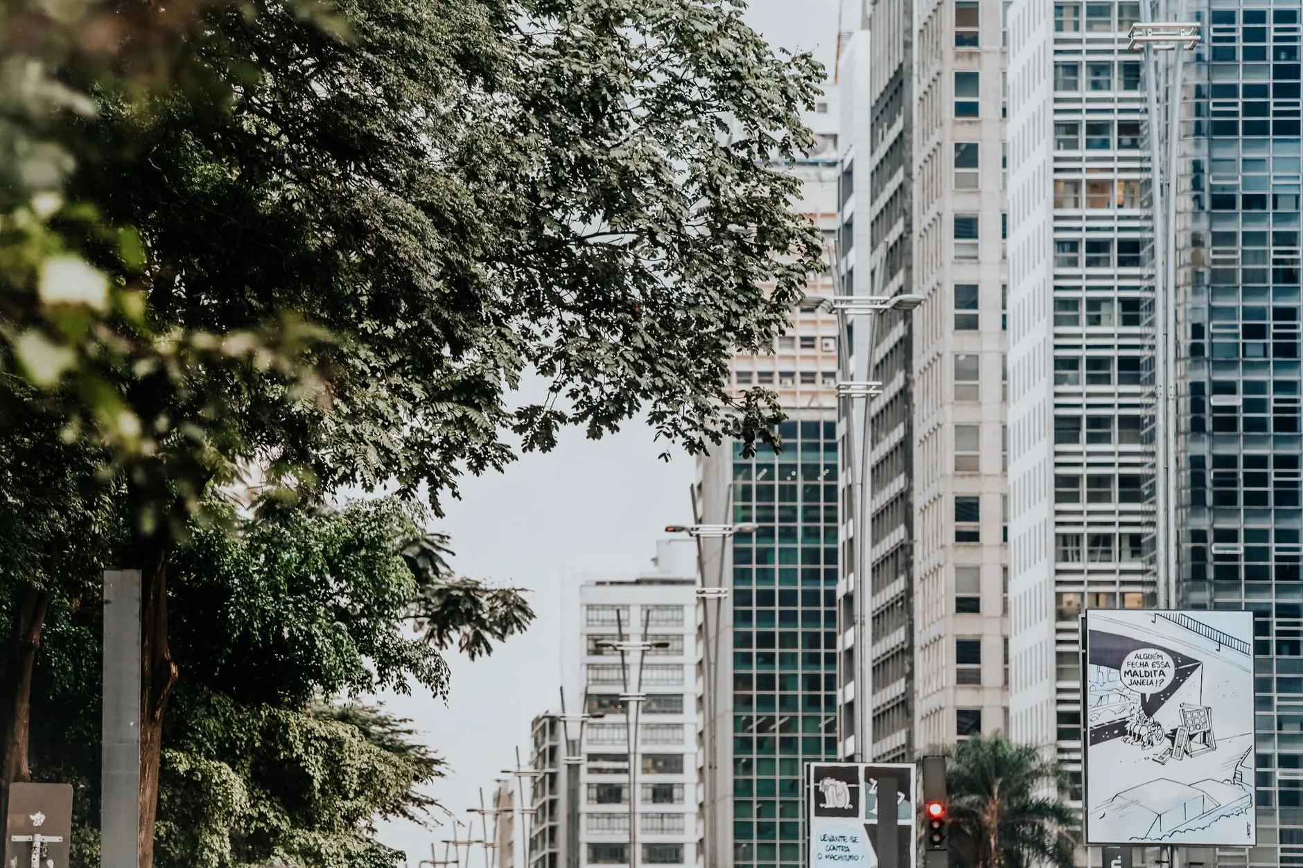Paranhos