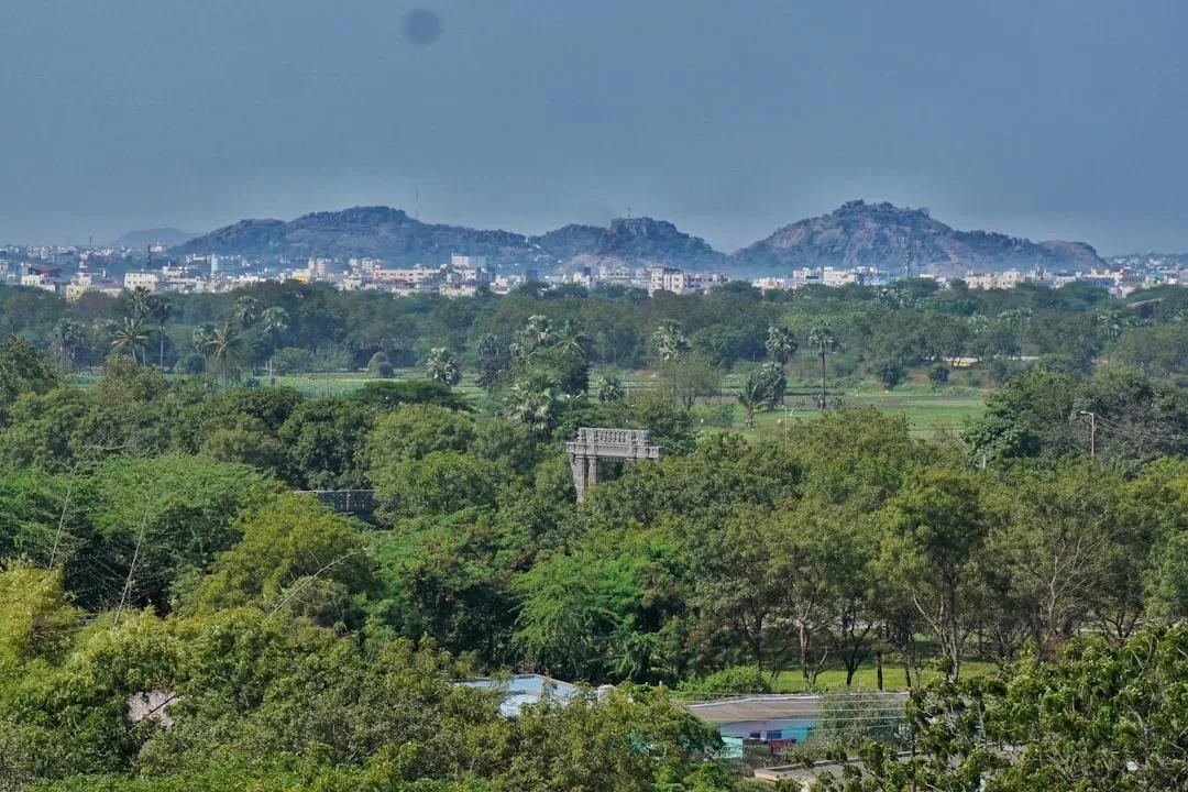 Warangal