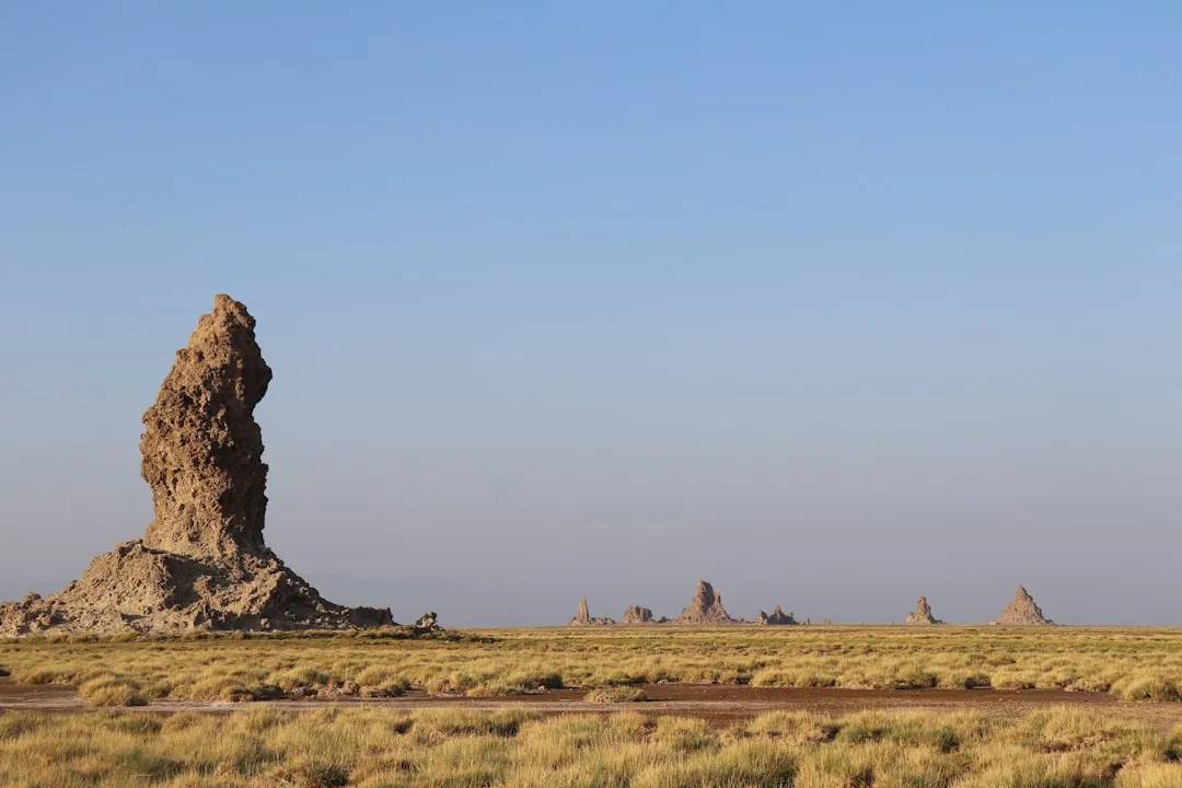 Cibuti