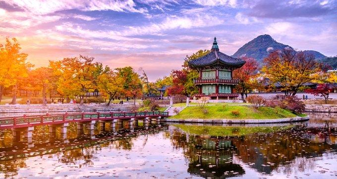 Süper Promo Japonya & Hong Kong Turu Rotası