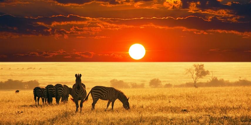 Gold Afrika Keşfi “Güney Afrika, Zimbabve, Botsvana” THY ile 7 gece (CPT-JNB) Cape Town (3) – Victoria Falls (3) – Chobe Ulusal Parkı – Johannesburg (1)
